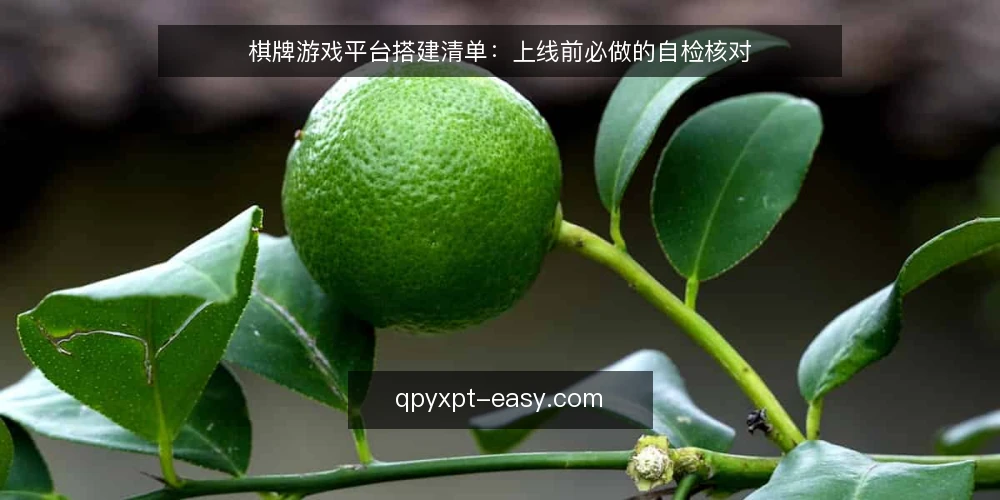 棋牌游戏平台搭建清单:上线前必做的自检核对 — 为什么现在需要这份清单 配图